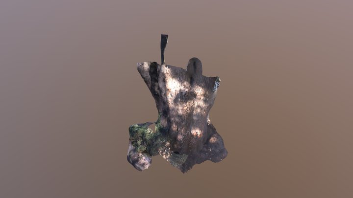 A TRNIO Model 3D Model