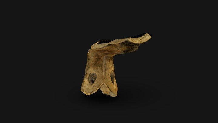 Poggio Colla | 257178 3D Model