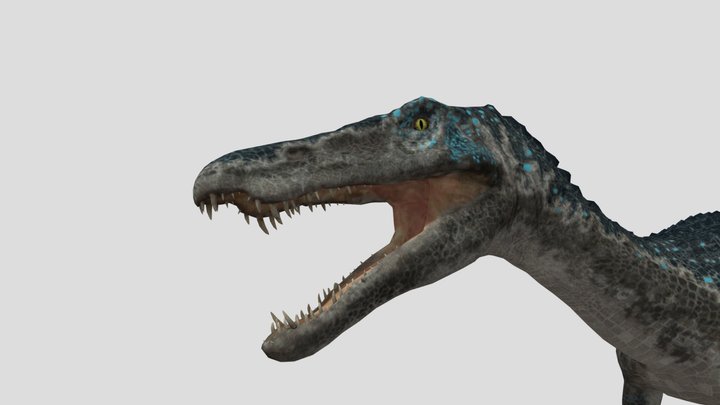 Chaos 3D Model