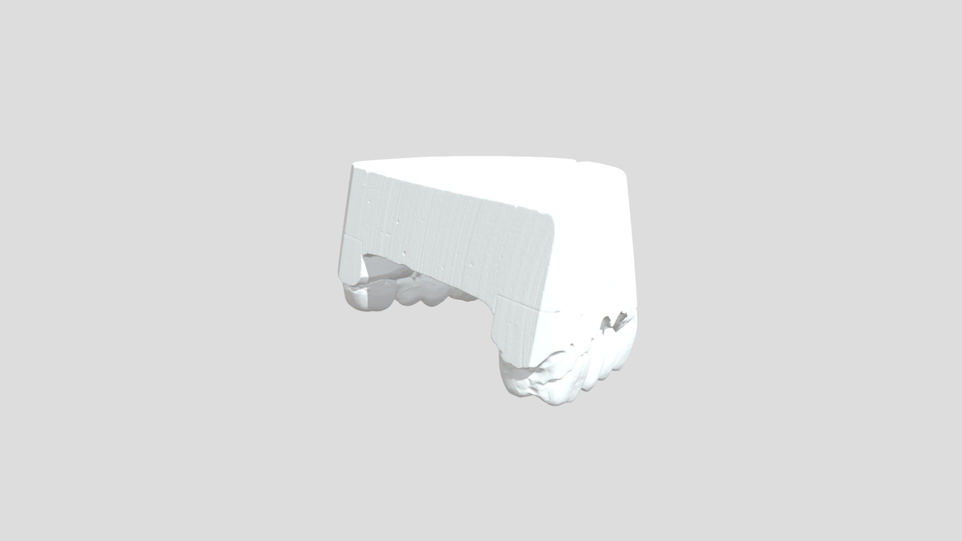 Upper Jaw