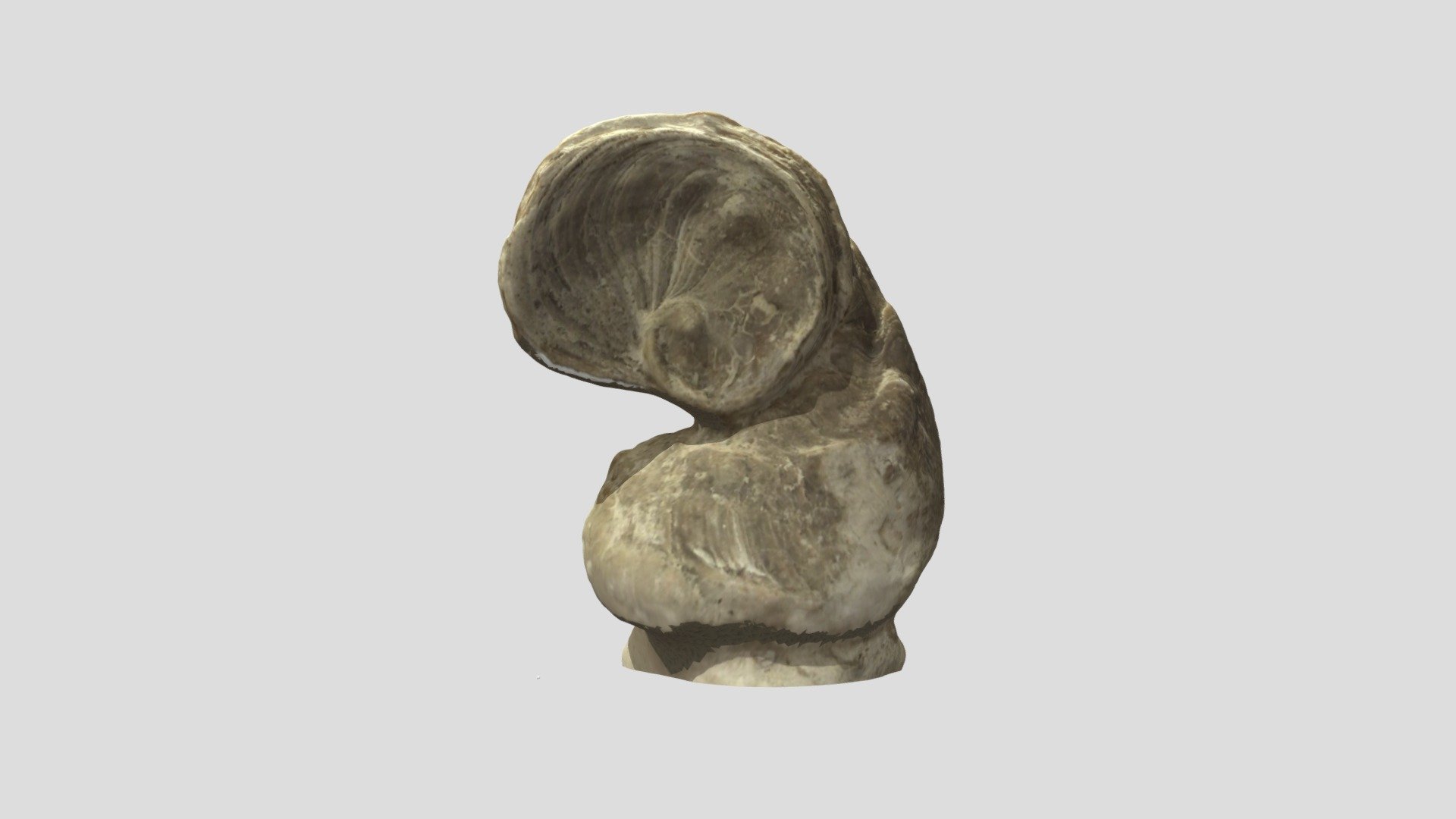 Requienia Muséum histoire naturelle Grenoble - Download Free 3D model ...
