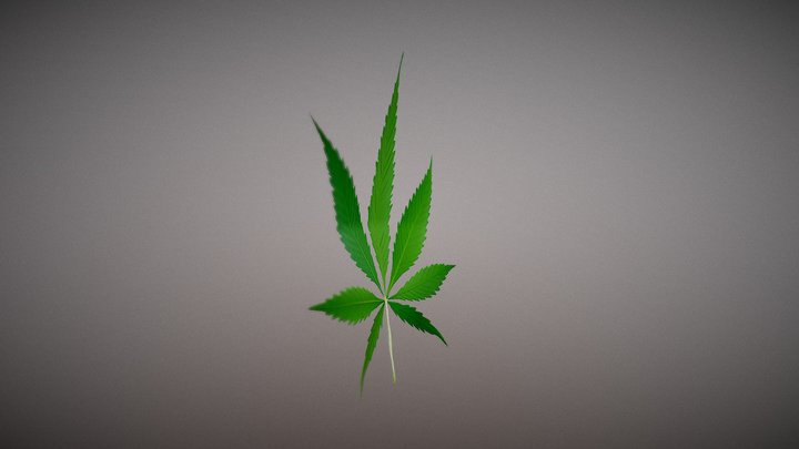 Cannaleaf 3D Model
