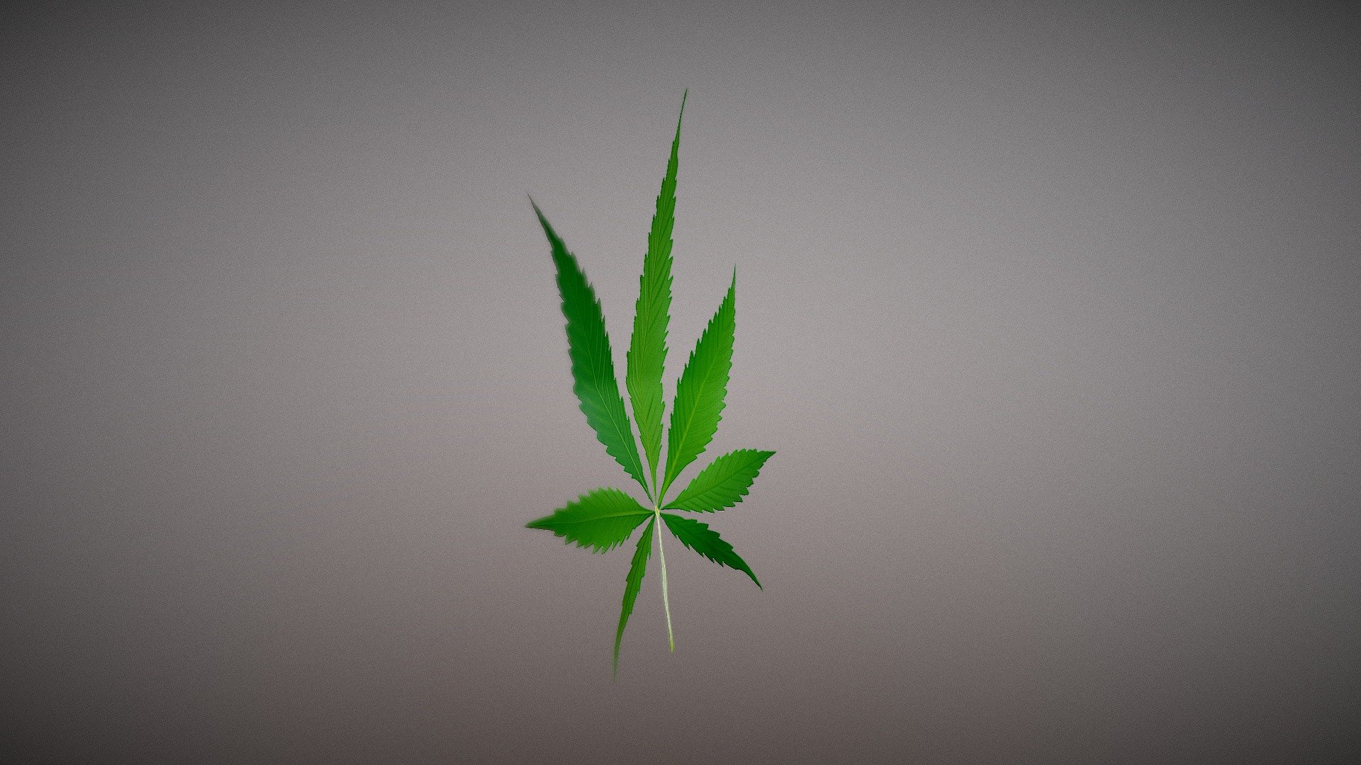 Cannaleaf