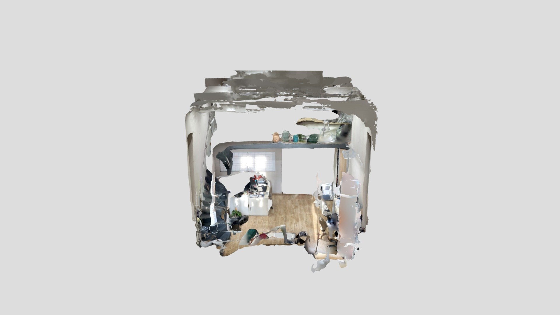 Polycam capture