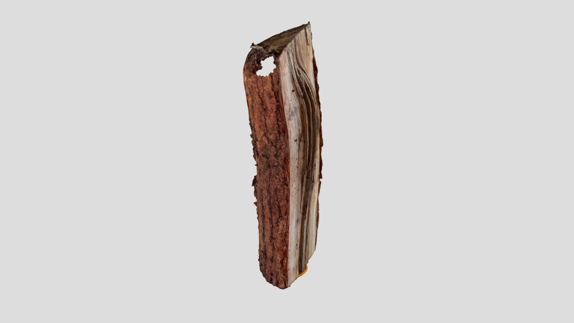 Bûche 1