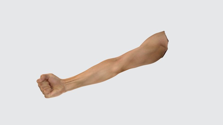 [EinScan H] Arm 3D Model