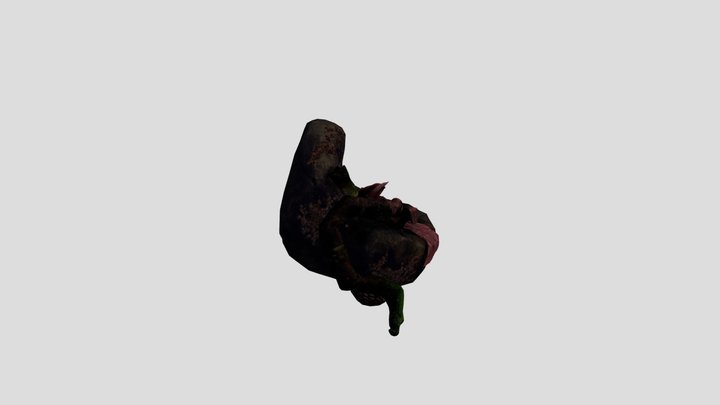 Sloth 3D Model