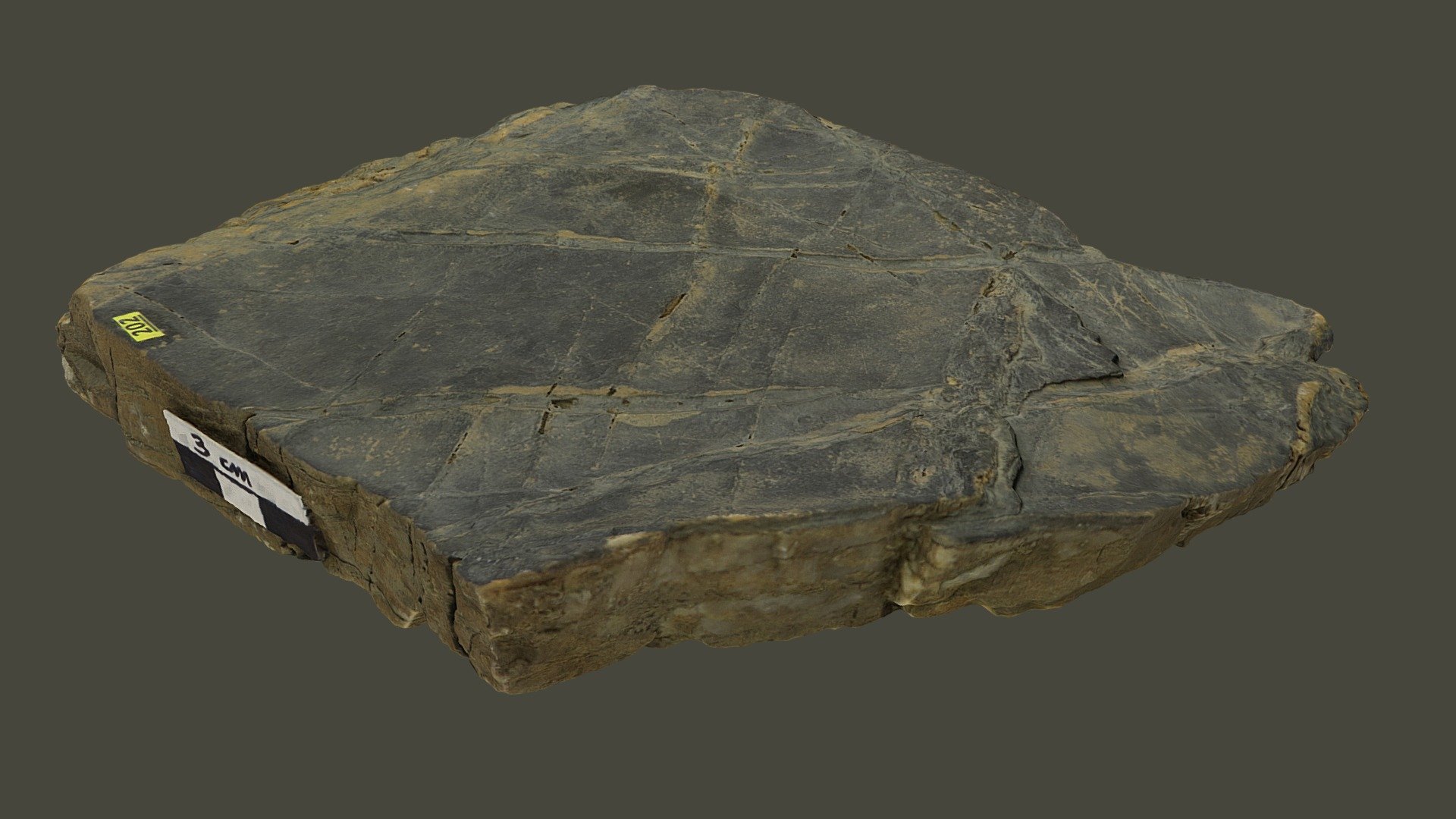 Flattening — Sketchfab embed 3D viewer