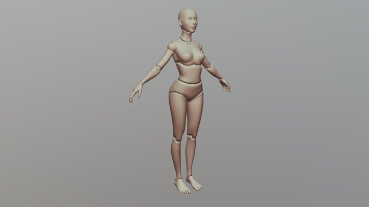 Body Chan Rig 3D Model