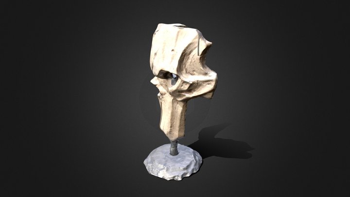 UV MASCARA 3D Model