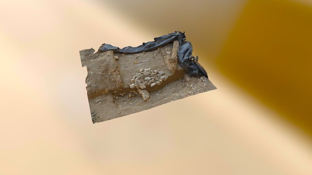 Exposed Middle Archaic thermal appliance 3D Model