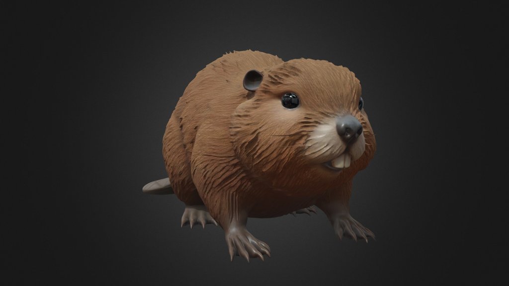 Medium Beaver Standing Realistic