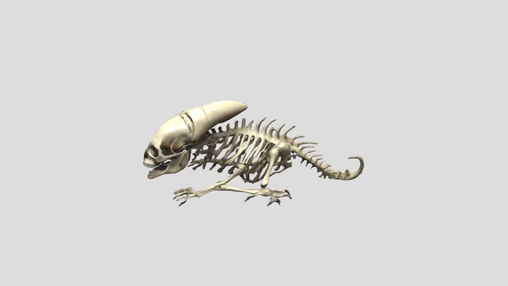 Alien_skeletal 3D Model
