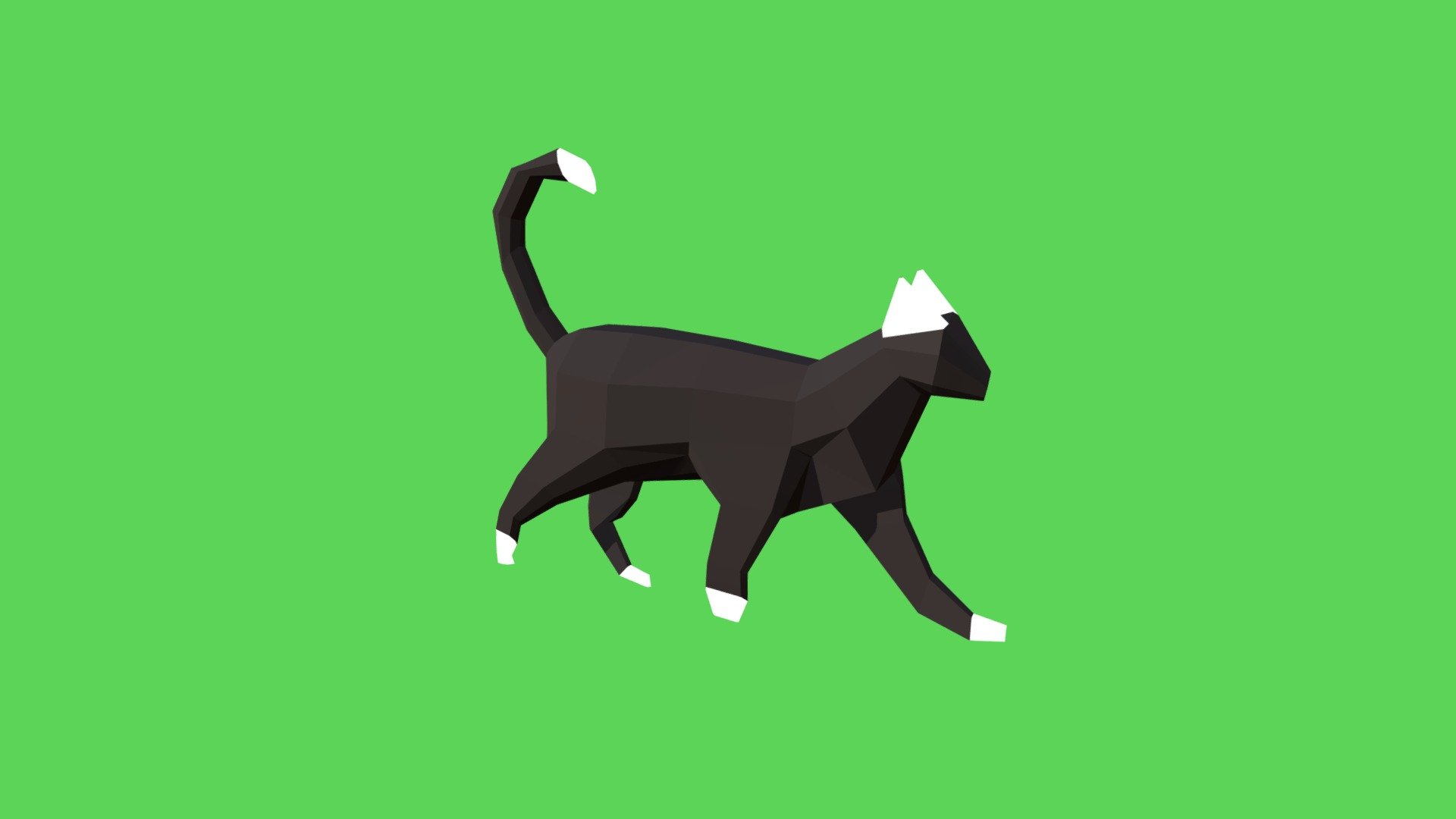 Gatto