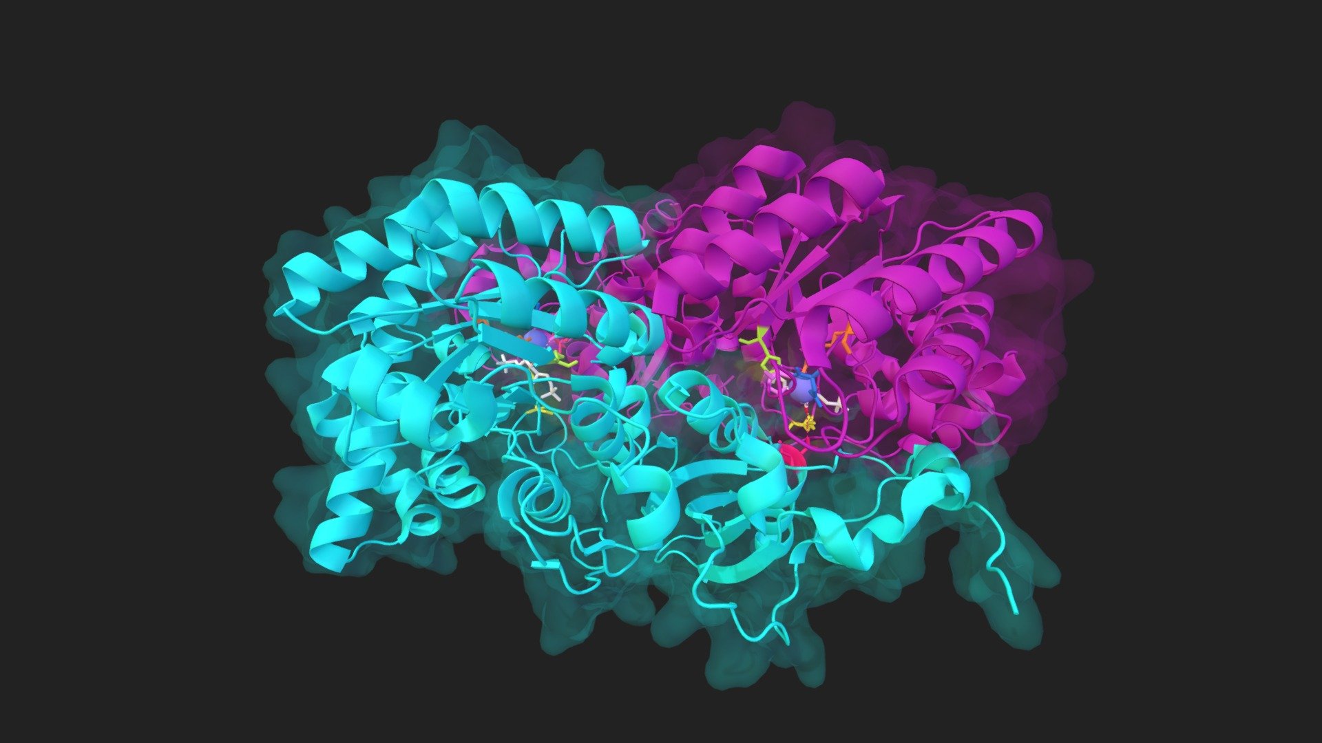 Rubisco Revealed: The Engine of Fixation - 3D model by summahropeti ...