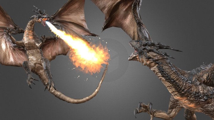 fiery dragon 雜魚火龍 3D Model