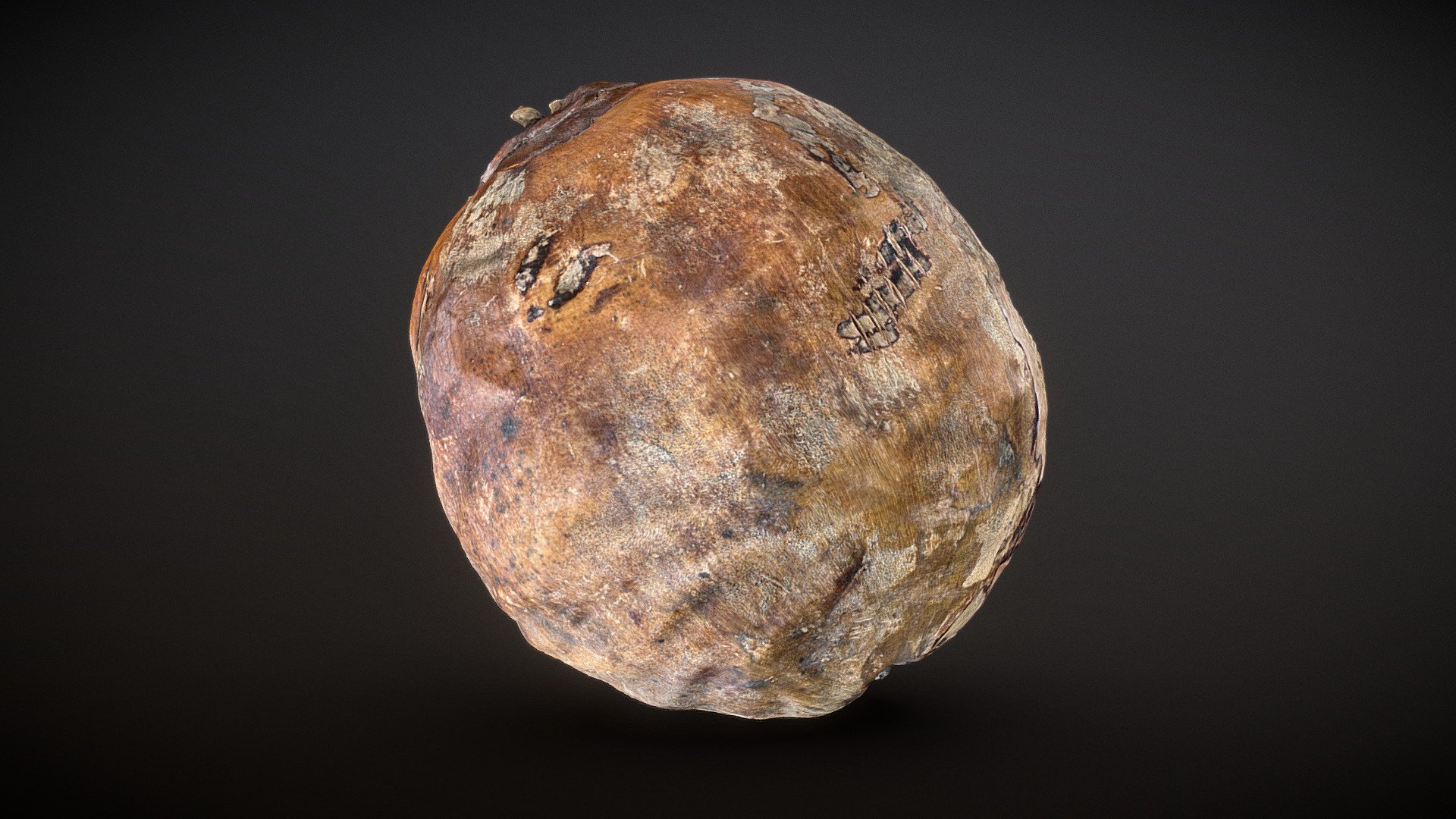 Coconut 1