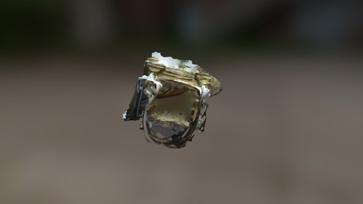 Ii 3D Model