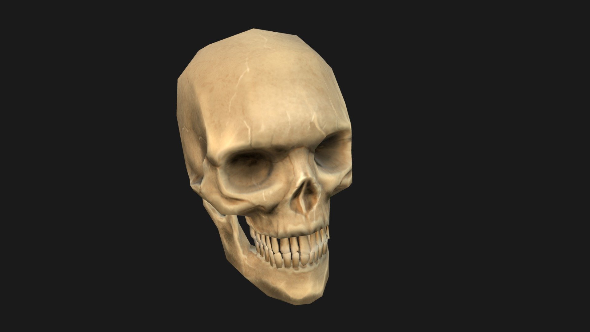 Skull - 3D model by target (@target2) [f8d5d54] - Sketchfab