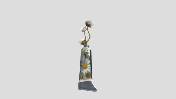 TubeOfPaint 3D Model