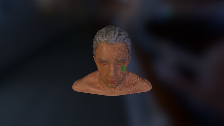 head.zip 3D Model