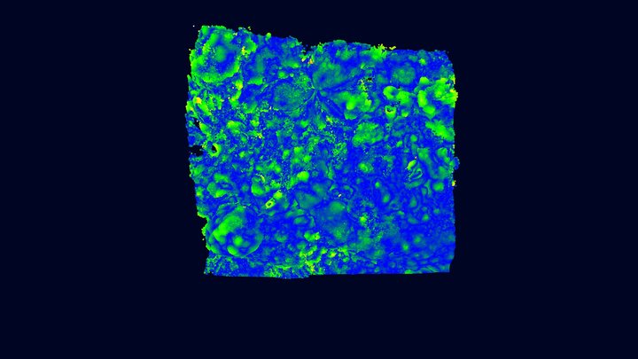 Quad1-Roughness. E Cabritte (St John USVI) 3D Model