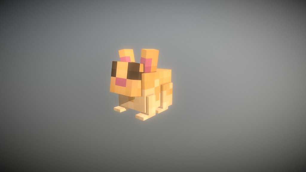 Cute bunny