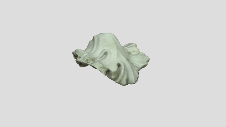 Laocoön (fig leaf) 3D Model