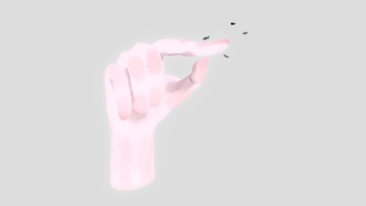 Hand and Flies 3D Model