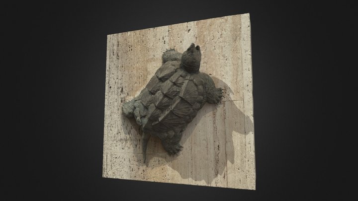 Turtle at Yerevan Cascade 3D Model