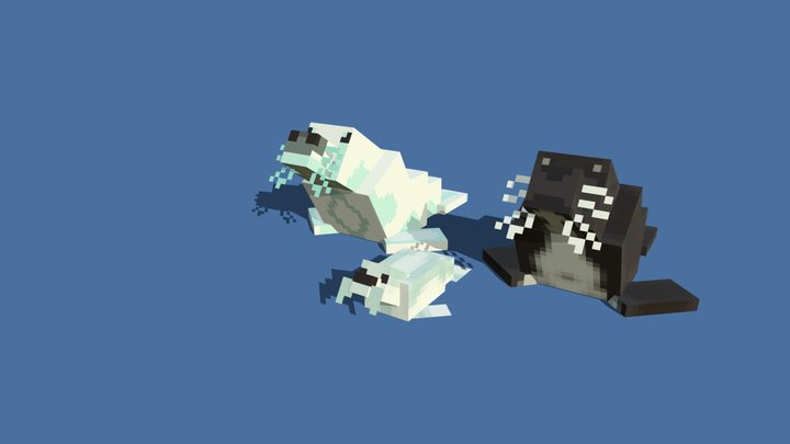 Seals 3D Model
