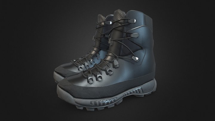 Elite Boot and Mountain Shoe (Bergschuhe) 3D Model