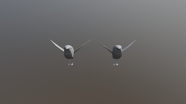 Bird 3D Model