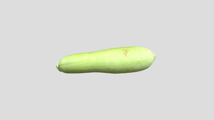 Vegetable_squash 3D Model