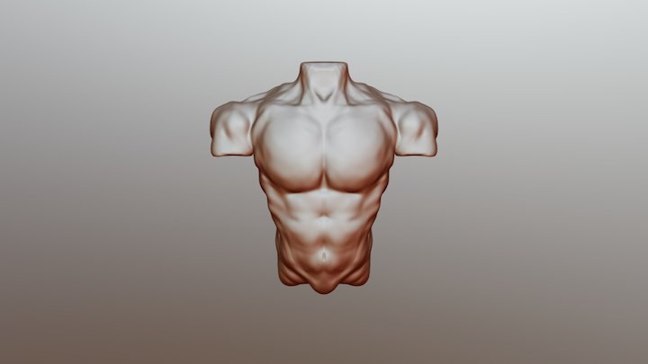 malebody01 3D Model