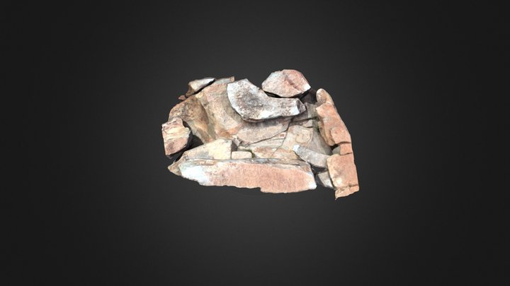 ROQUE DE MALPASO 3D Model