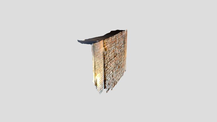 1912 the wall 3D Model