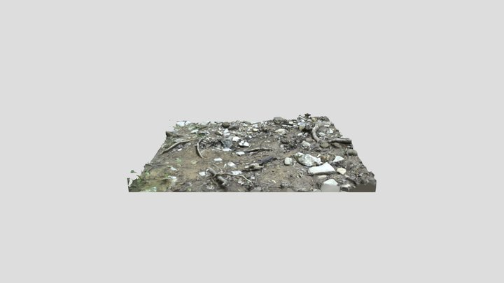 North Alabama River Bed 3D Model