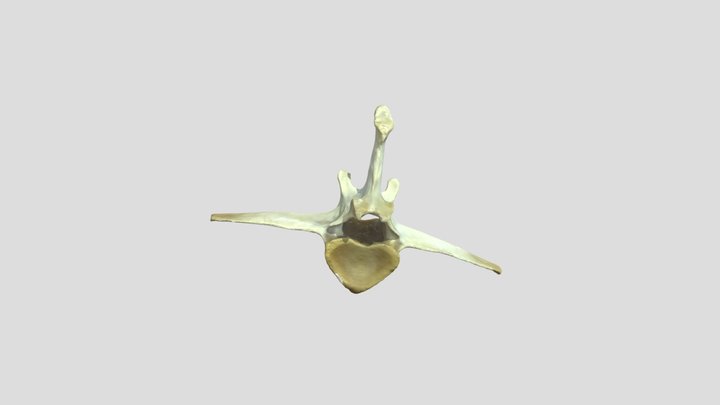 Mini_L2 3D Model