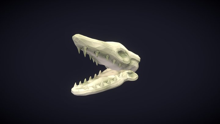 Sea Monster Skull 3D Model