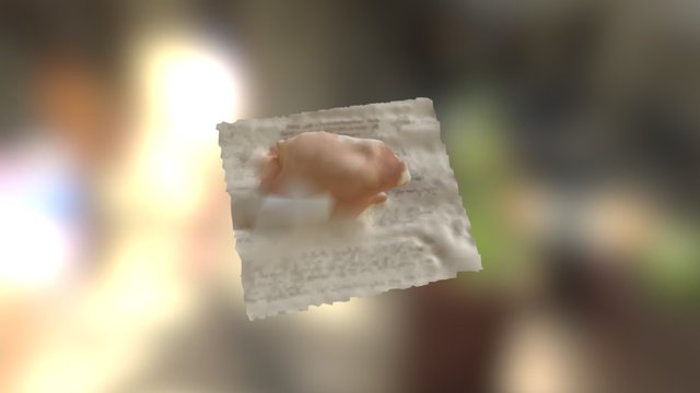 Pig1 3D Model