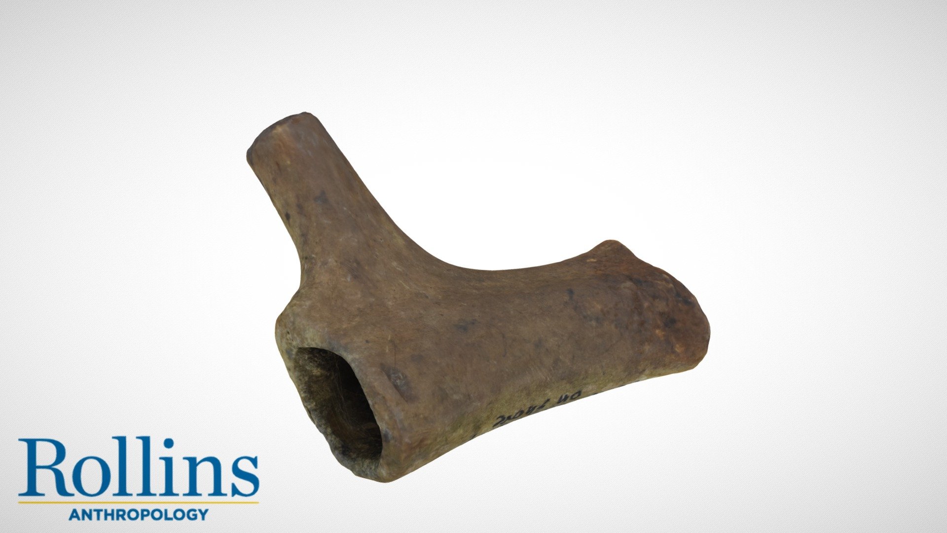 Antler Pipe