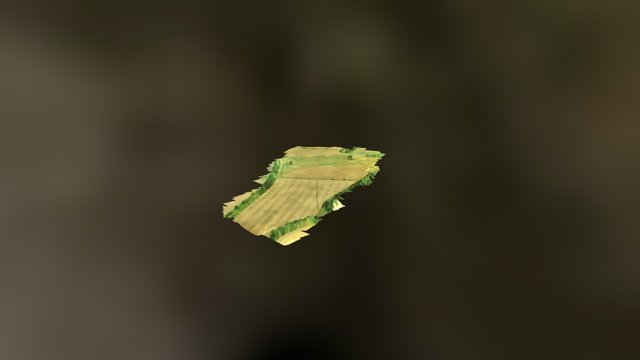 Summer Field 3D Model