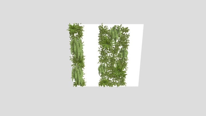 Vertical Garden A