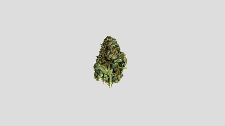 Cannabis Bud 2 3D Model