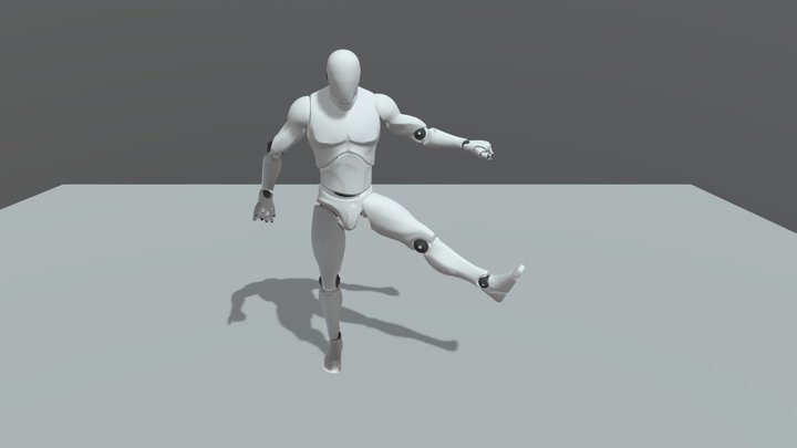 Animation Set 3D Model