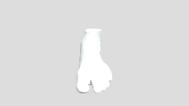 Right foot 3D Model