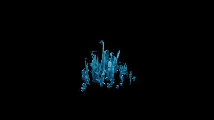 K'aresh - Netherweed (Cluster) 3D Model