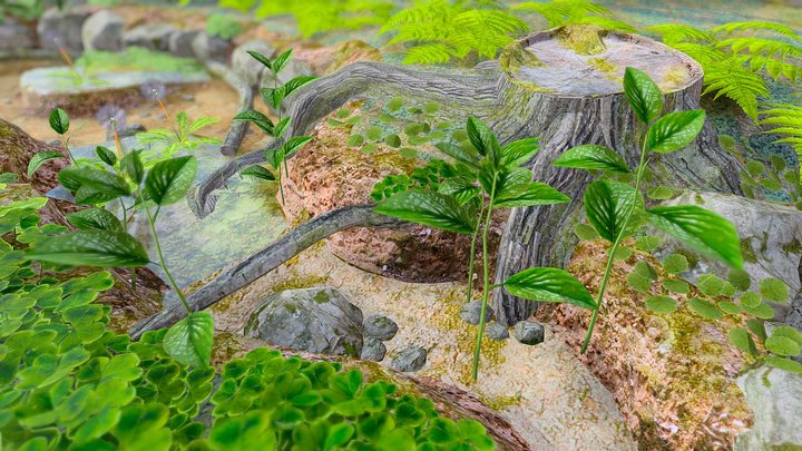 Nature scene free – Modello 3D gratuito STL