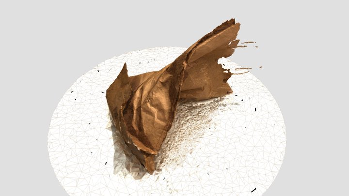 B1 3D Model
